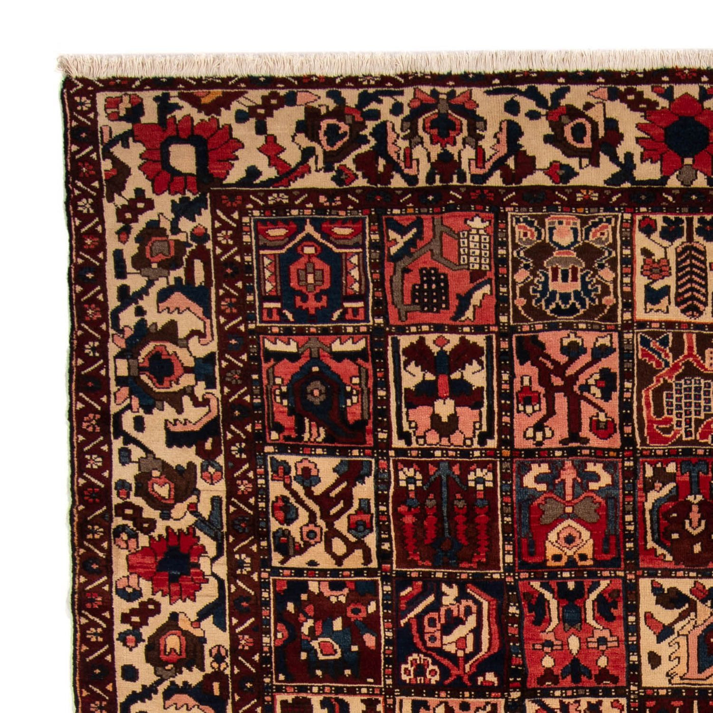 Bakhtiari Tapijt 337x258cm - Perzisch tapijt