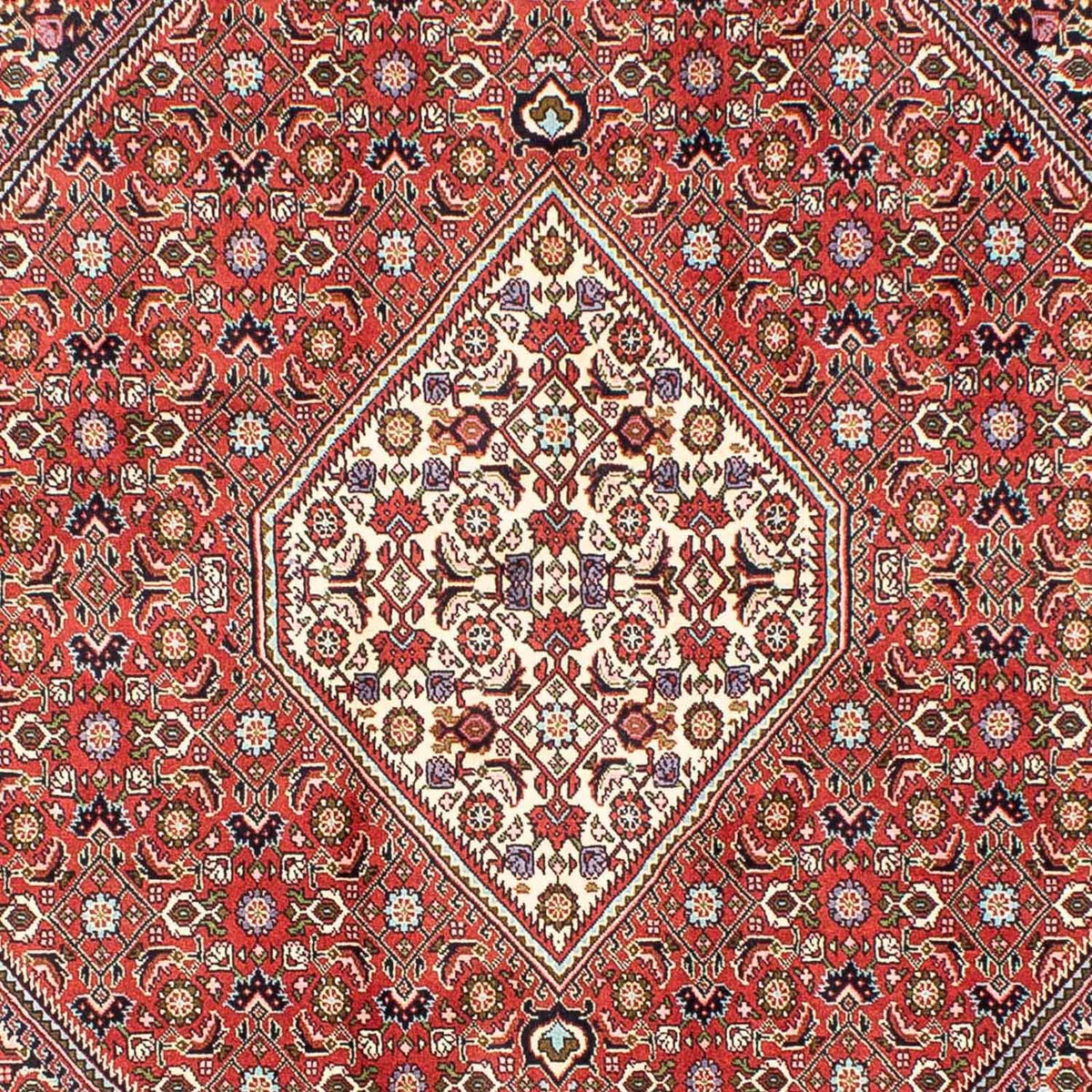 Perzisch tapijt - Bijar - 240 x 173 cm - rood