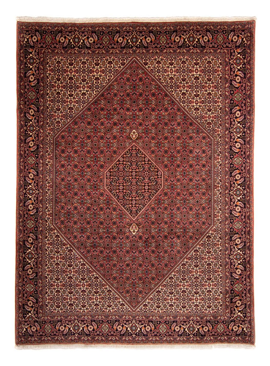 Perzisch tapijt - Bijar - 338 x 248 cm - bruin