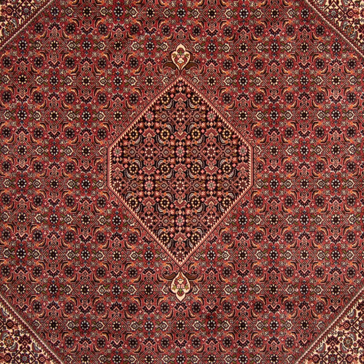 Perzisch tapijt - Bijar - 338 x 248 cm - bruin