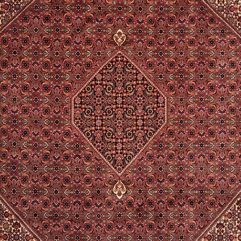 Perzisch tapijt - Bijar - 338 x 248 cm - bruin
