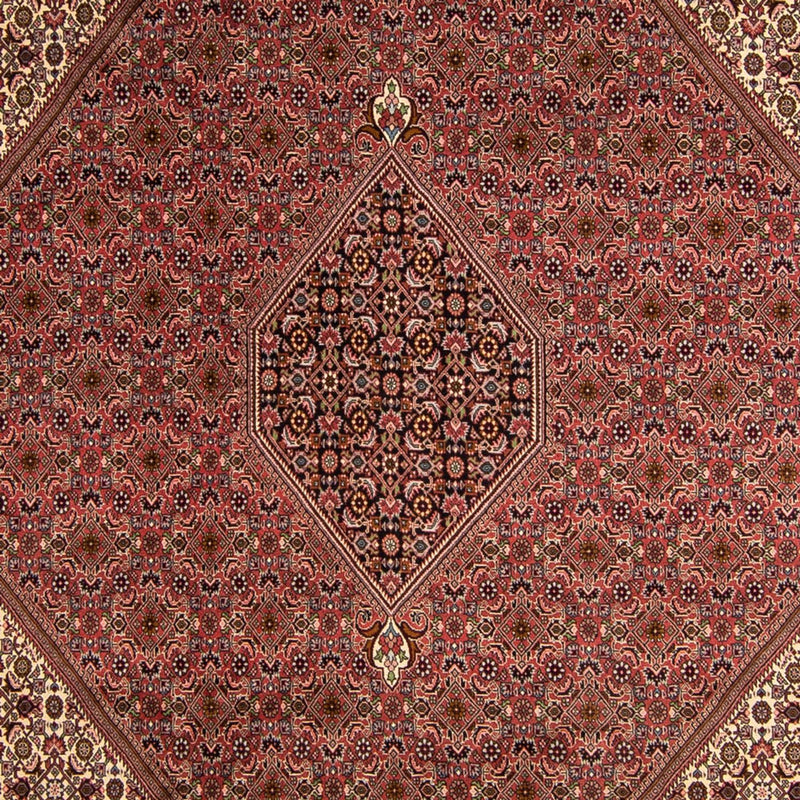 Perzisch tapijt - Bijar - 350 x 245 cm - bruin