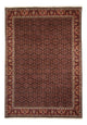 Bidjar Tapijt 345x245cm - Perzisch tapijt