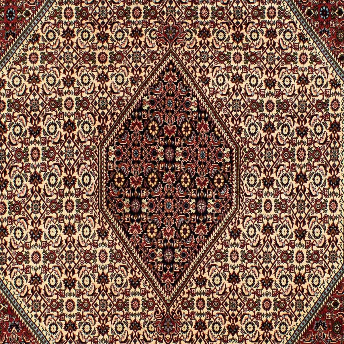 Perzisch tapijt - Bijar - 300 x 200 cm - beige