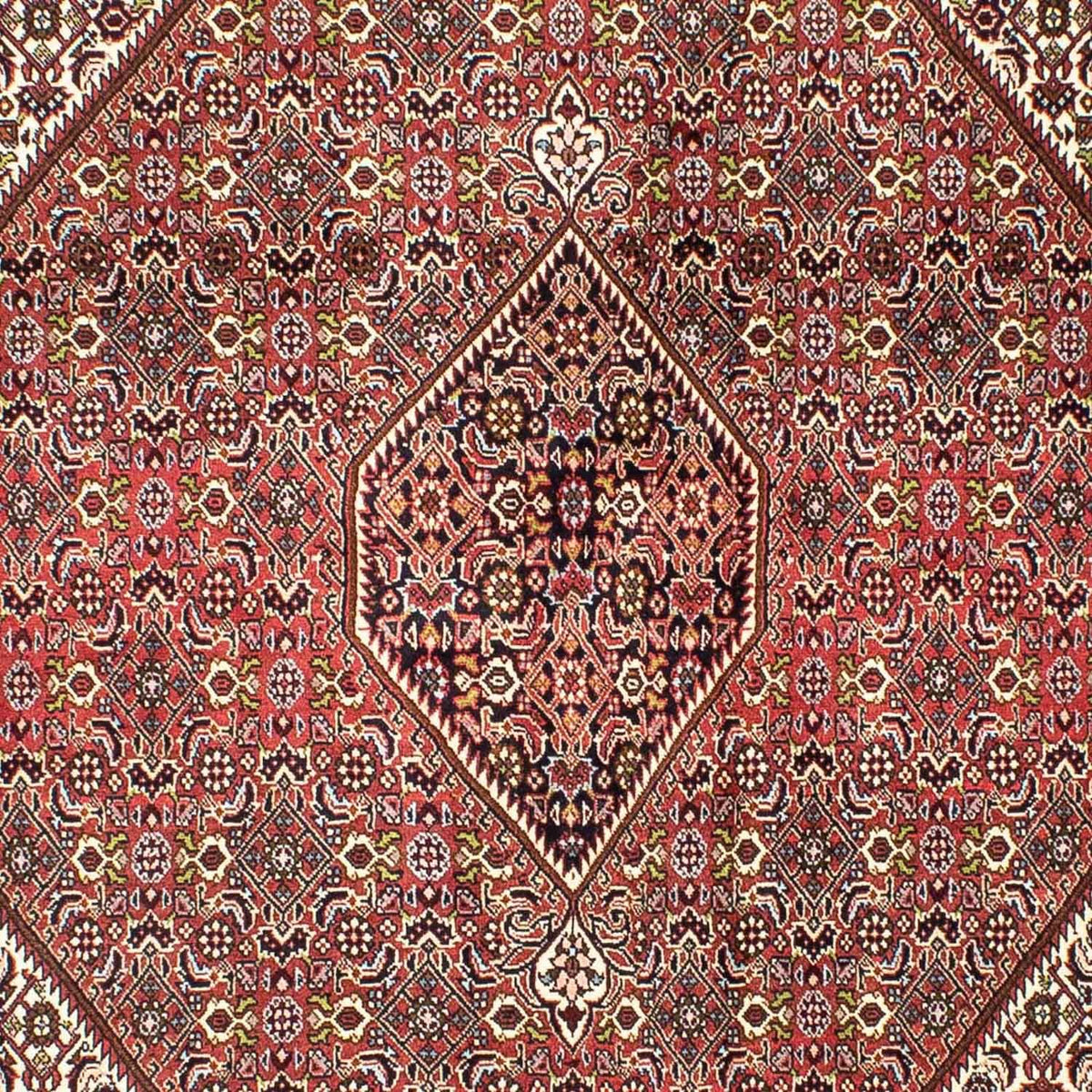 Perzisch tapijt - Bijar - 251 x 174 cm - licht rood