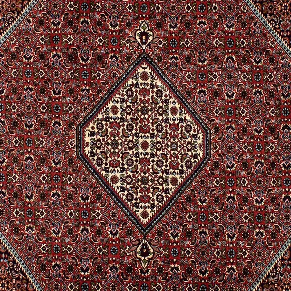 Perzisch tapijt - Bijar - 300 x 202 cm - bruin