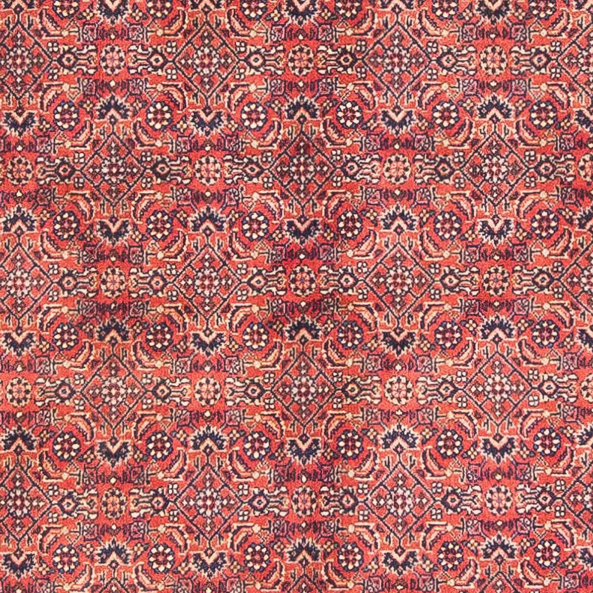 Perzisch tapijt - Bijar - 154 x 90 cm - rood