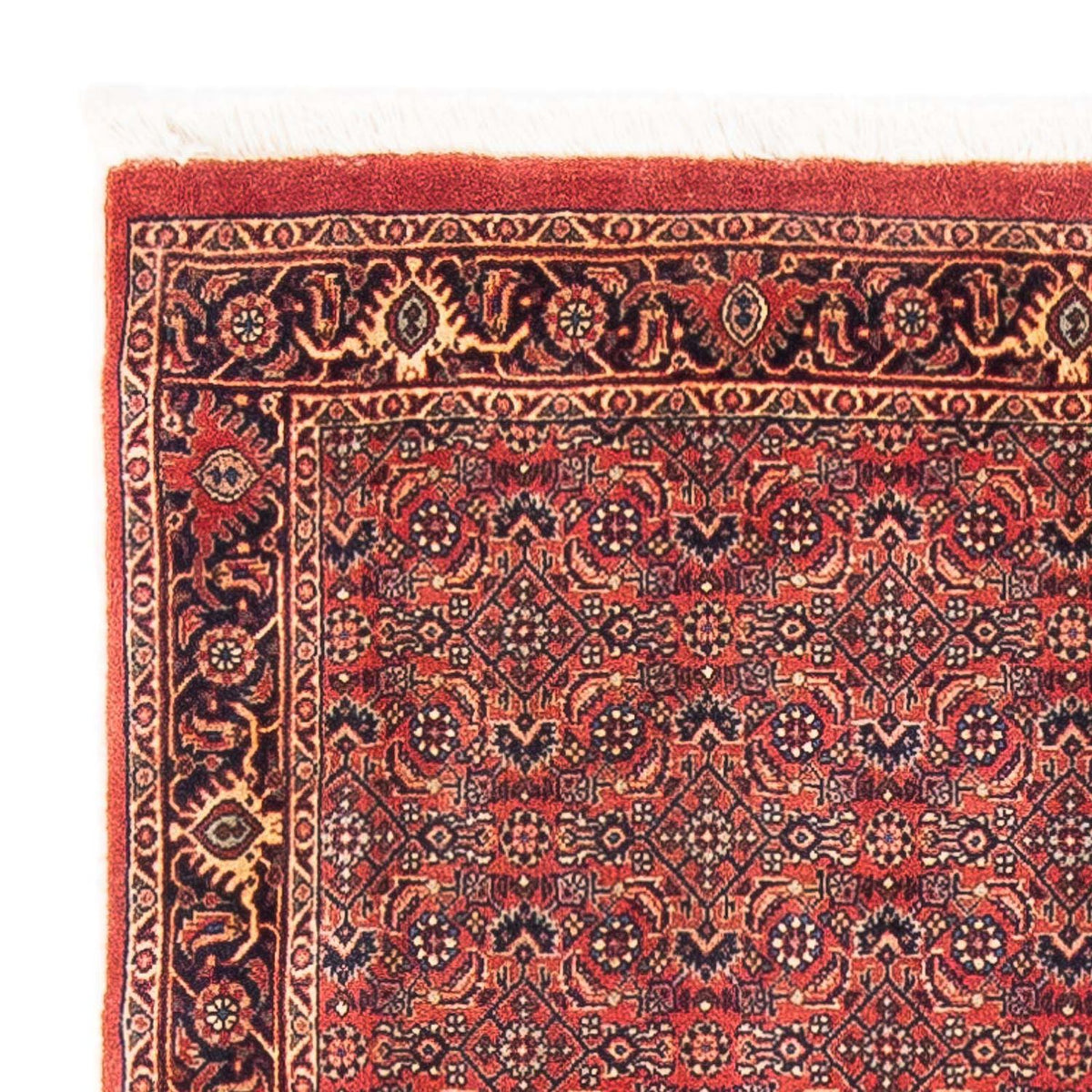 Perzisch tapijt - Bijar - 154 x 90 cm - rood