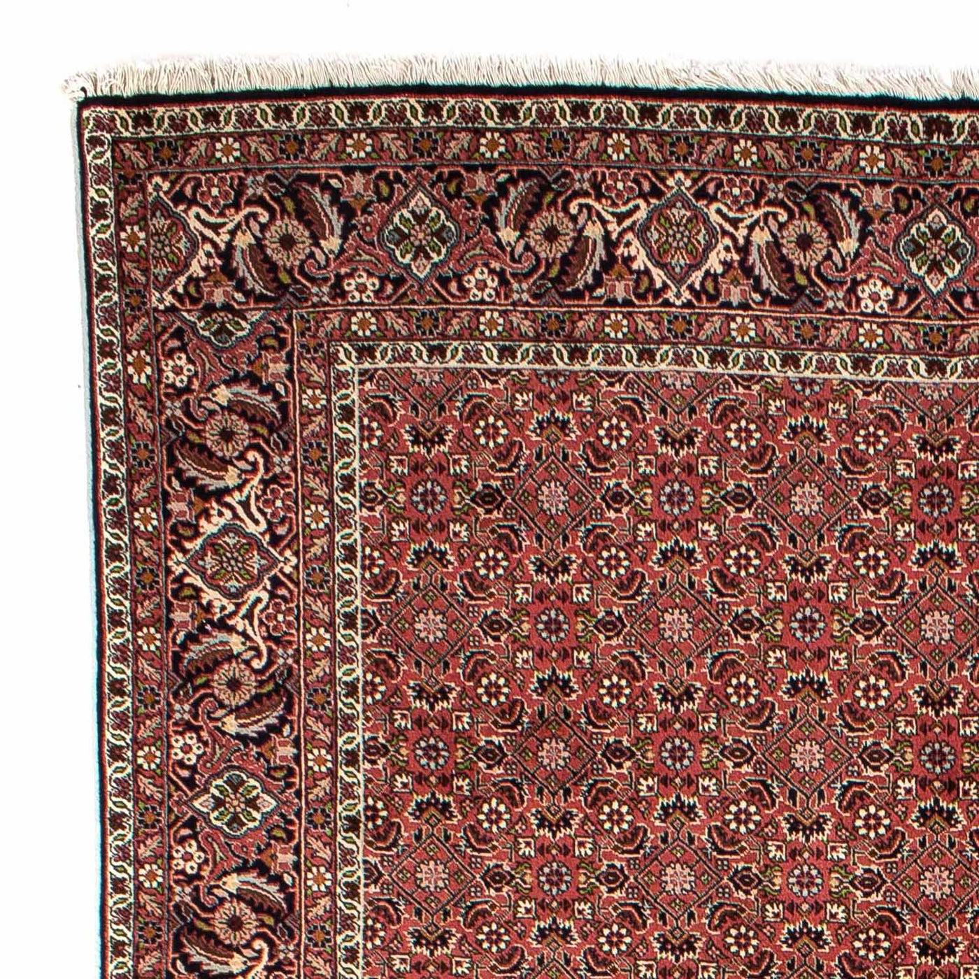 Bidjar Tapijt 310x196cm - Perzisch tapijt