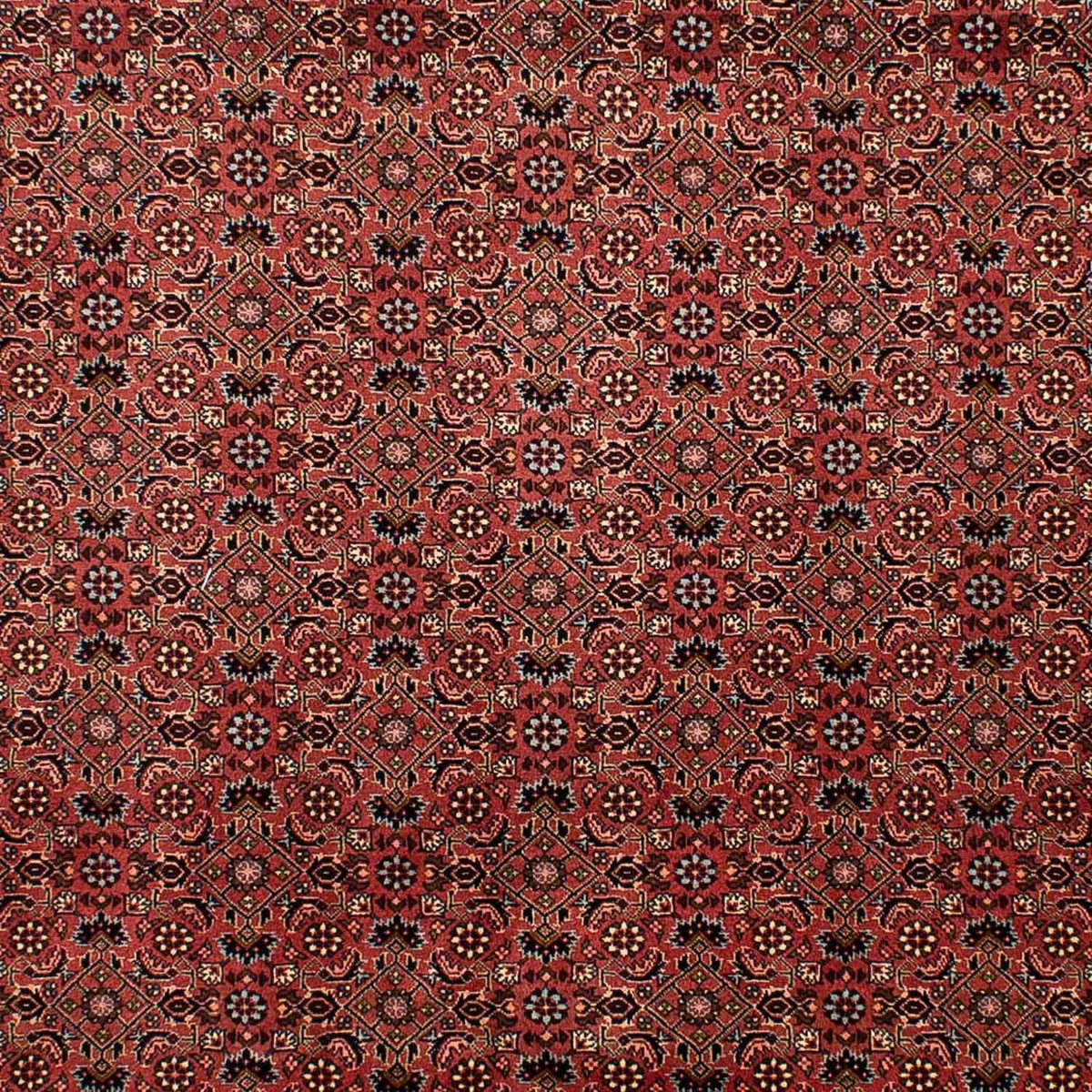 Perzisch tapijt - Bijar - 292 x 203 cm - donkerrood