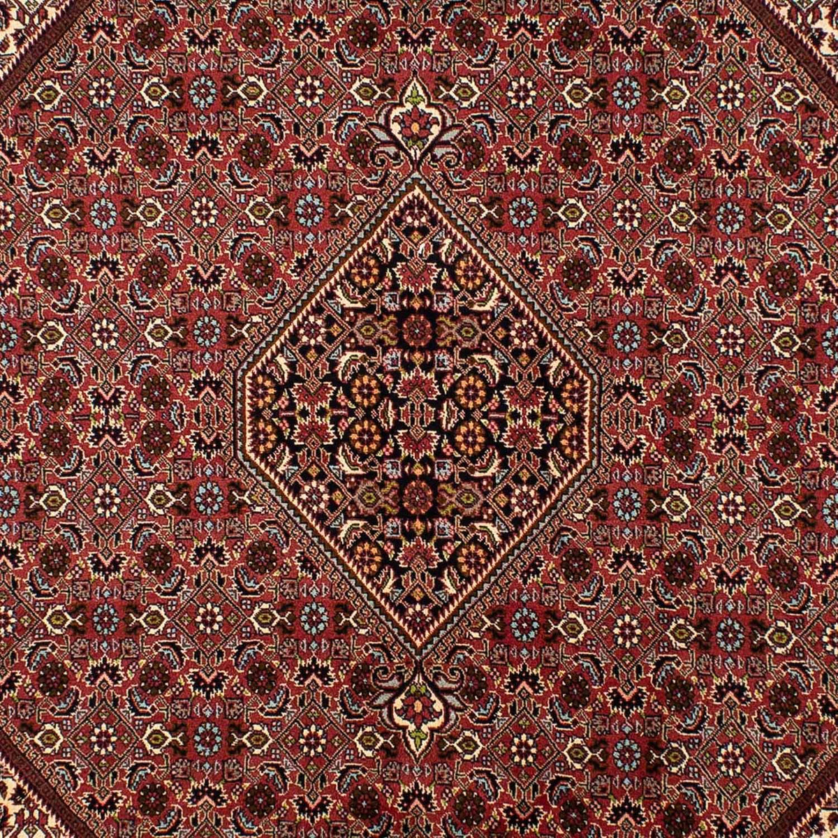 Perzisch tapijt - Bijar - 297 x 197 cm - bruin