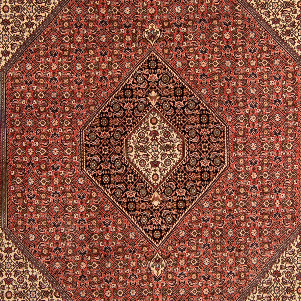 Perzisch tapijt - Bijar - 343 x 250 cm - bruin