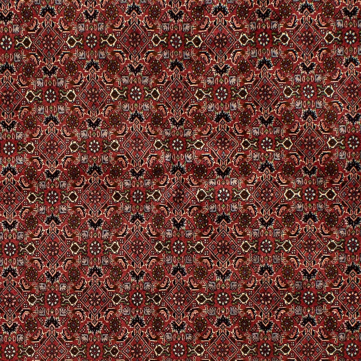 Perzisch tapijt - Bijar - 245 x 177 cm - donkerrood