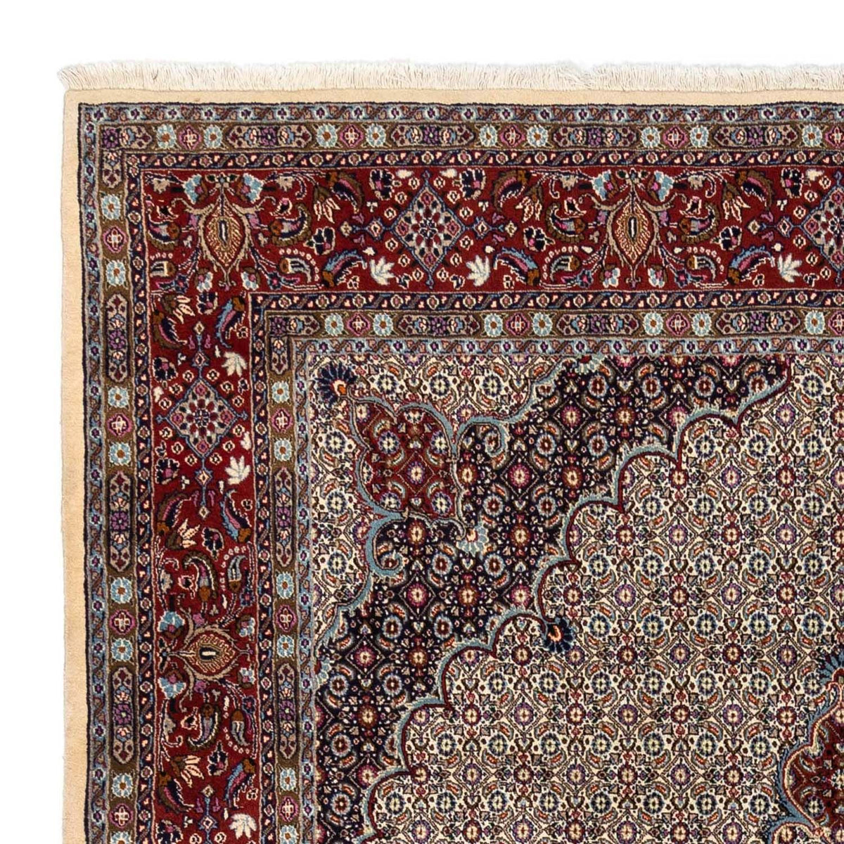 Moud Tapijt 248x346cm - Perzisch tapijt