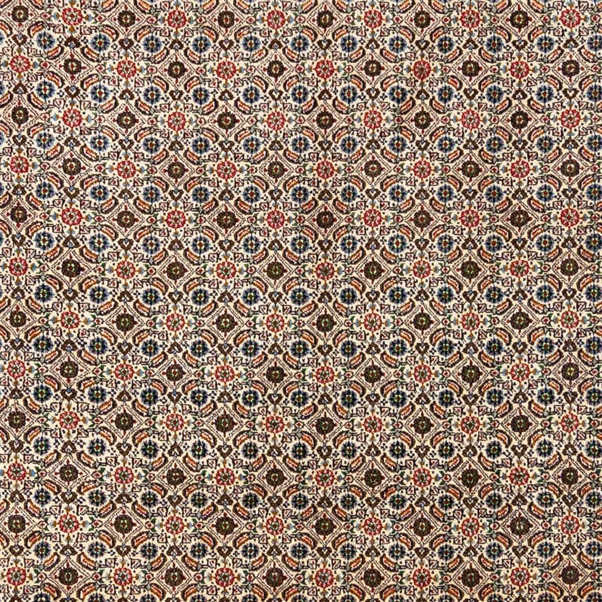 Perzisch tapijt - Klassiek - 345 x 244 cm - beige