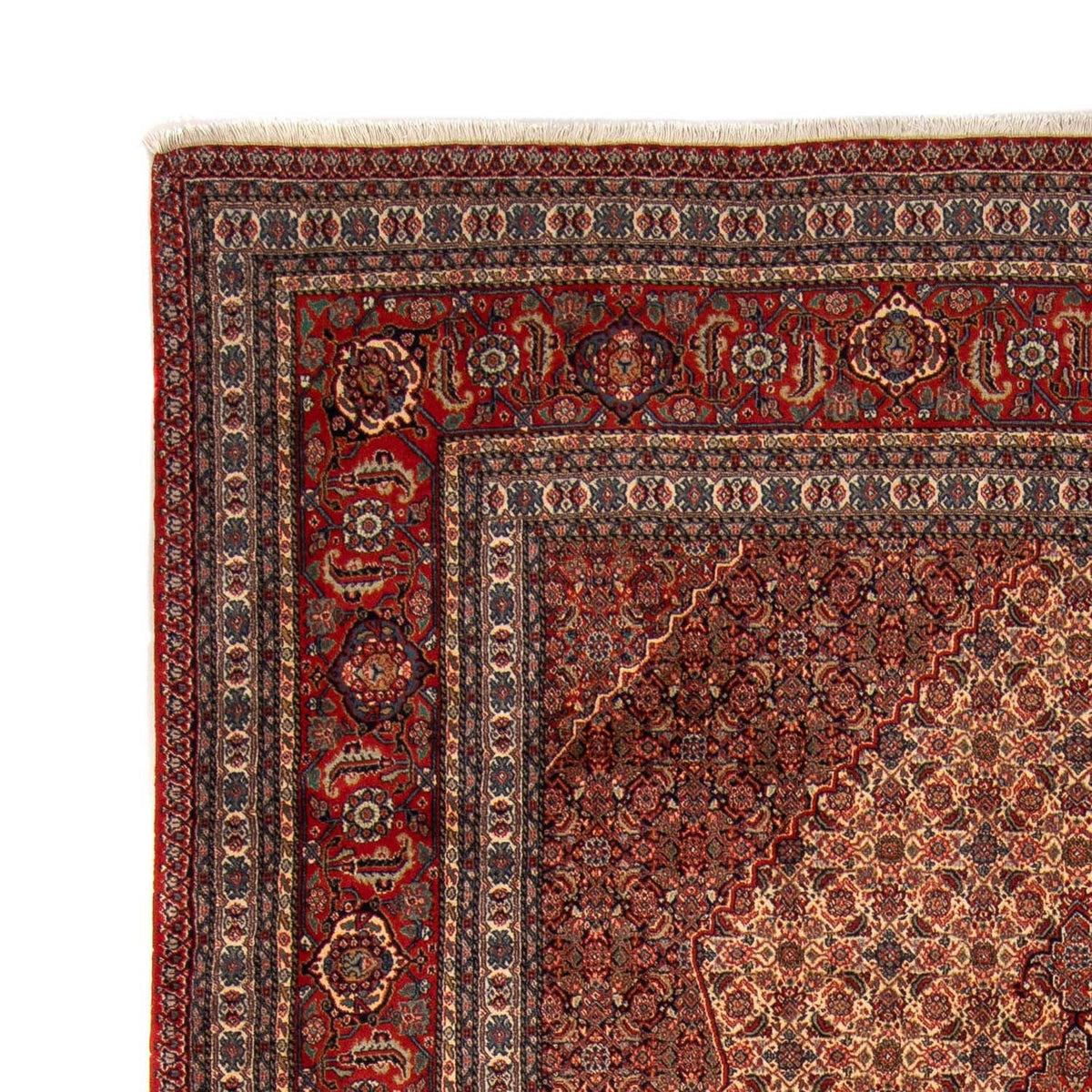 Sarab Tapijt 244x333cm - Perzisch tapijt