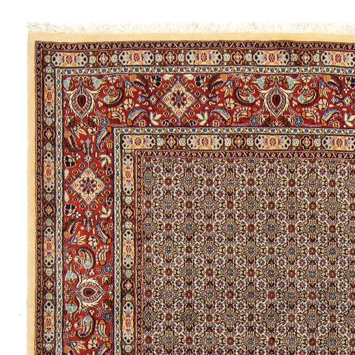 Moud Tapijt 250x345cm - Perzisch tapijt