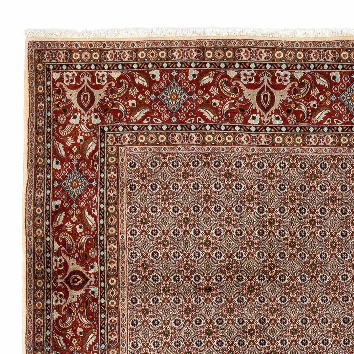 Moud Tapijt 260x350cm - Perzisch tapijt