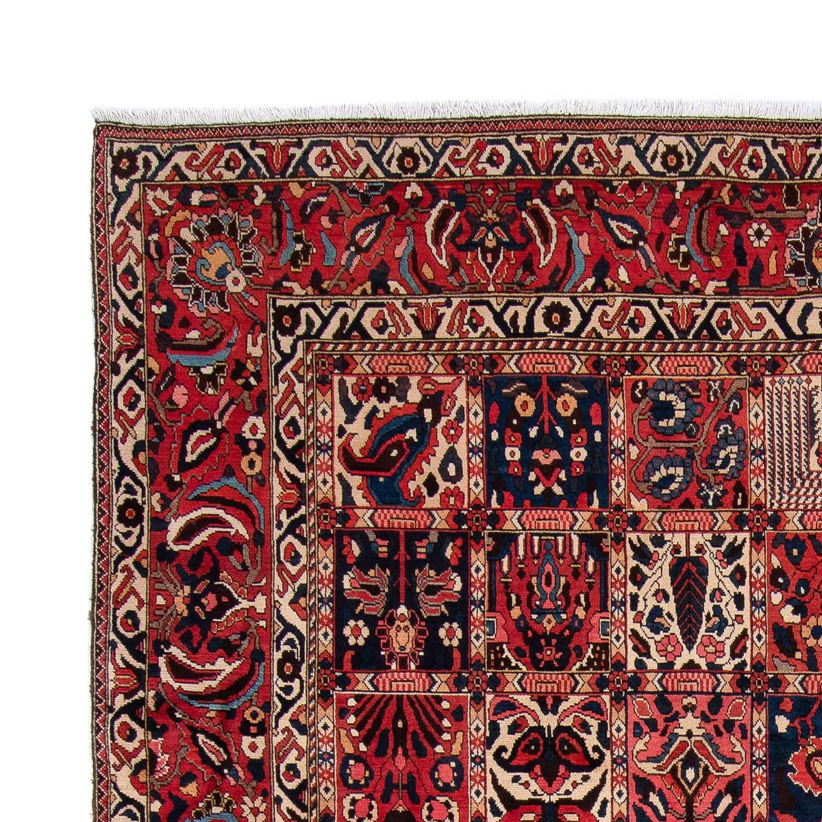 Bakhtiari Tapijt 261x358cm - Perzisch tapijt