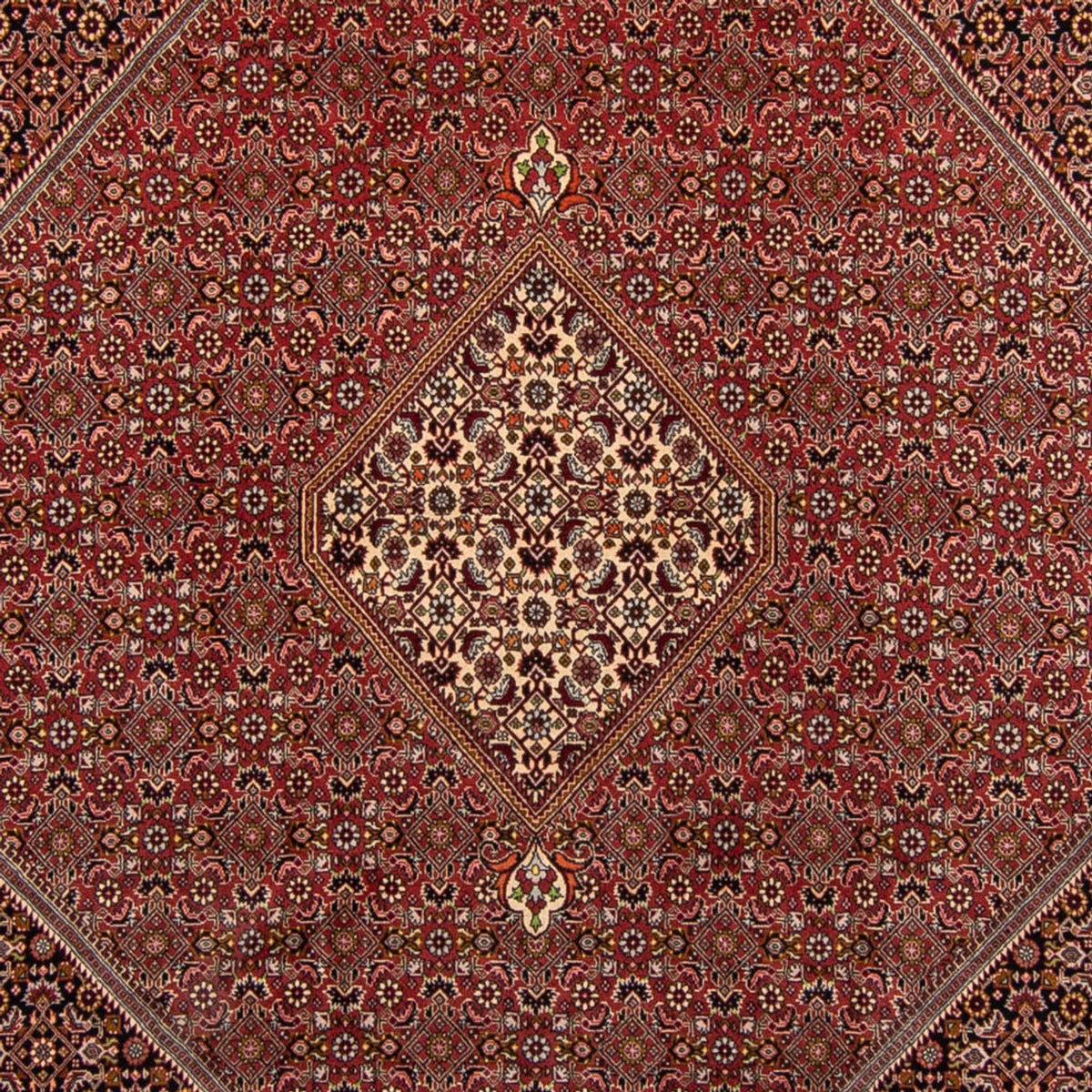 Perzisch tapijt - Bijar - 338 x 250 cm - bruin