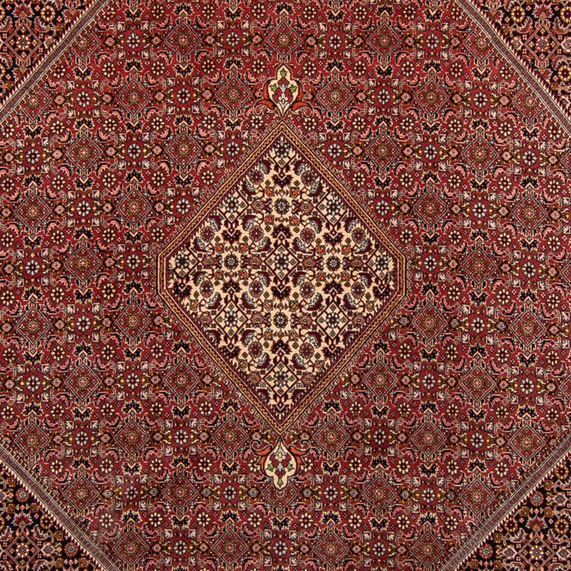 Perzisch tapijt - Bijar - 338 x 250 cm - bruin