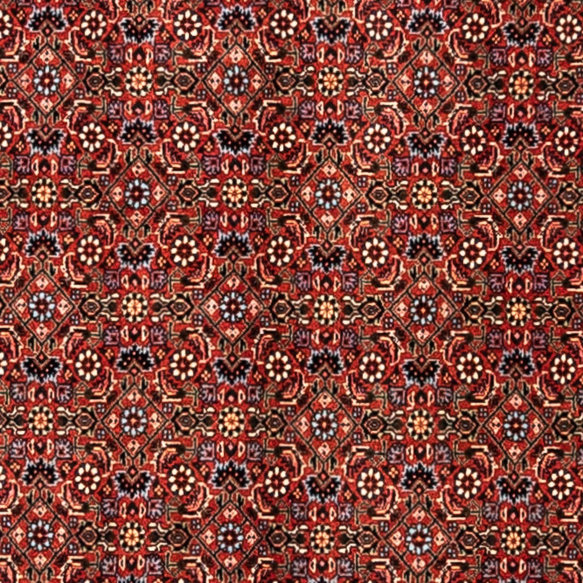 Perzisch tapijt - Bijar - Koninklijk - 363 x 248 cm - rood