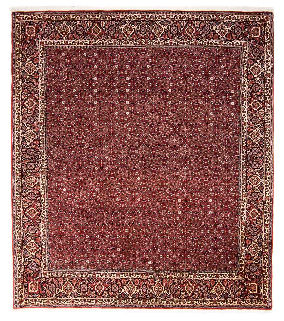 Perzisch tapijt - Bijar - 288 x 256 cm - donkerrood