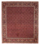 Bidjar Tapijt 288x256cm - Perzisch tapijt