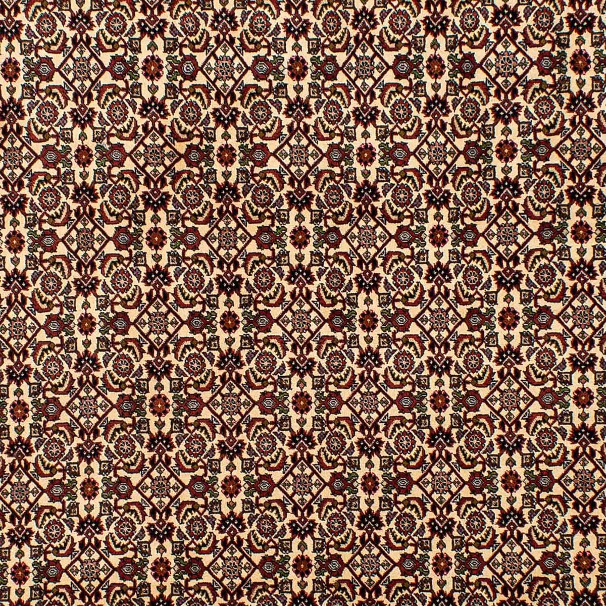 Perzisch tapijt - Bijar - 298 x 200 cm - beige
