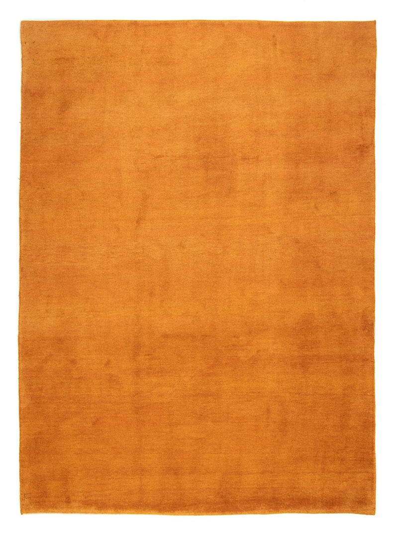Gabbeh tapijt - Perzisch - 332 x 244 cm - goud