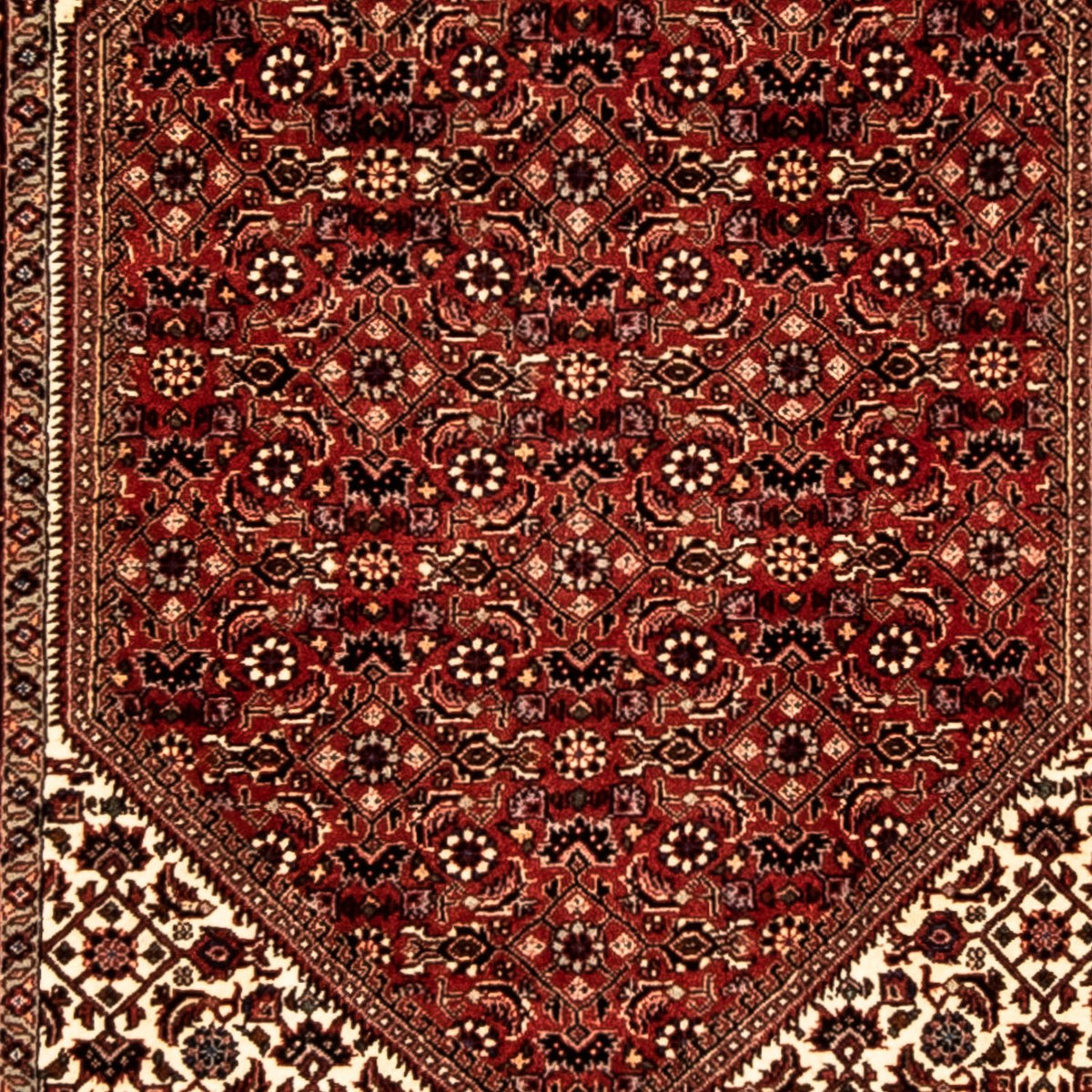 Loper Perzisch tapijt - Bijar - 313 x 82 cm - veelkleurig