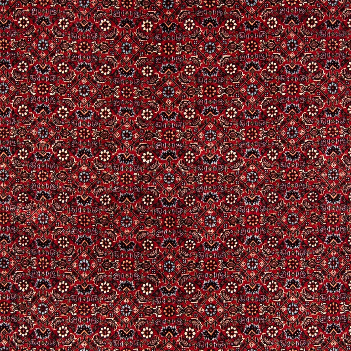 Perzisch tapijt - Bijar - 243 x 172 cm - donkerrood