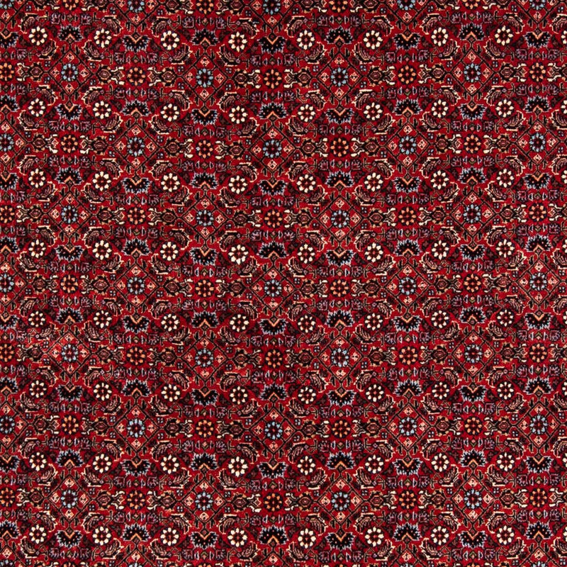Perzisch tapijt - Bijar - 243 x 172 cm - donkerrood