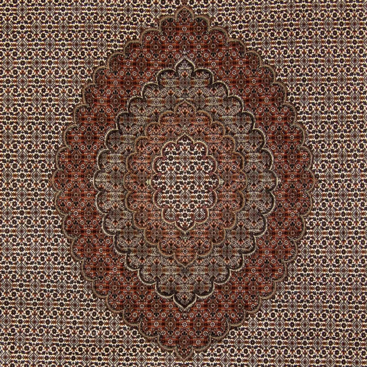Perzisch tapijt - Tabriz - 350 x 250 cm - donkerbruin