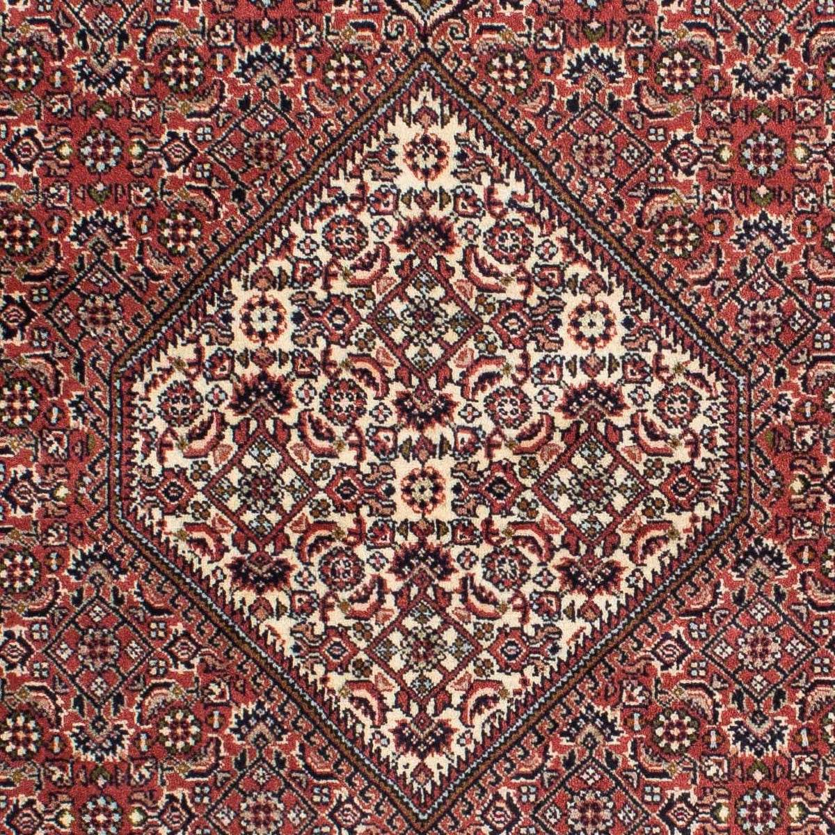 Perzisch tapijt - Bijar - 225 x 143 cm - rood