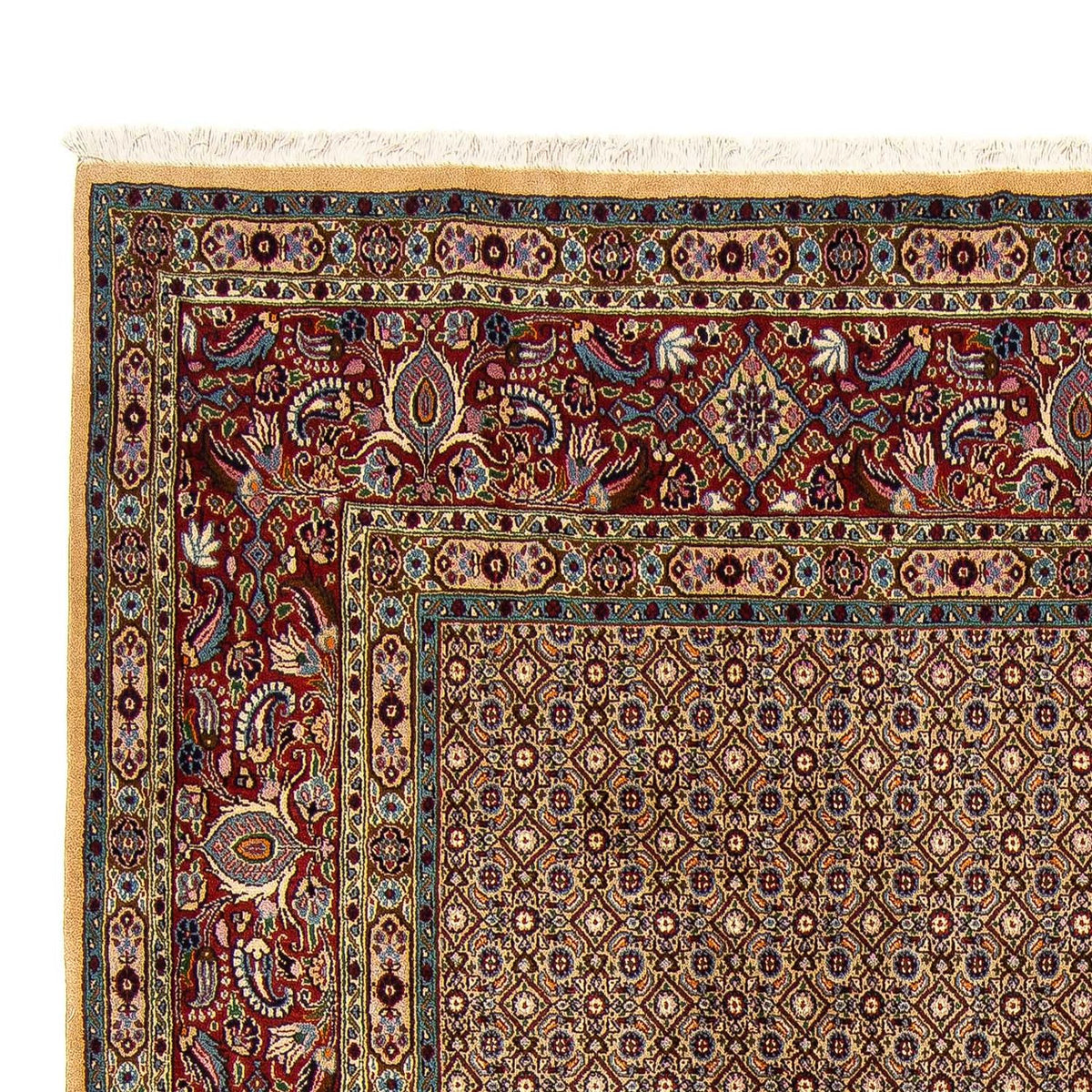 Moud Tapijt 243x303cm - Perzisch tapijt - meerkleurig