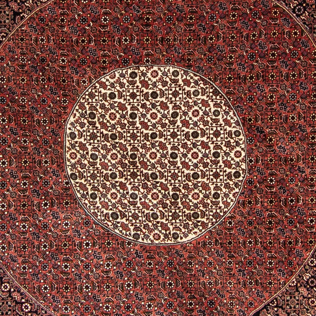 Perzisch tapijt - Bijar rond  - 260 x 260 cm - donkerrood
