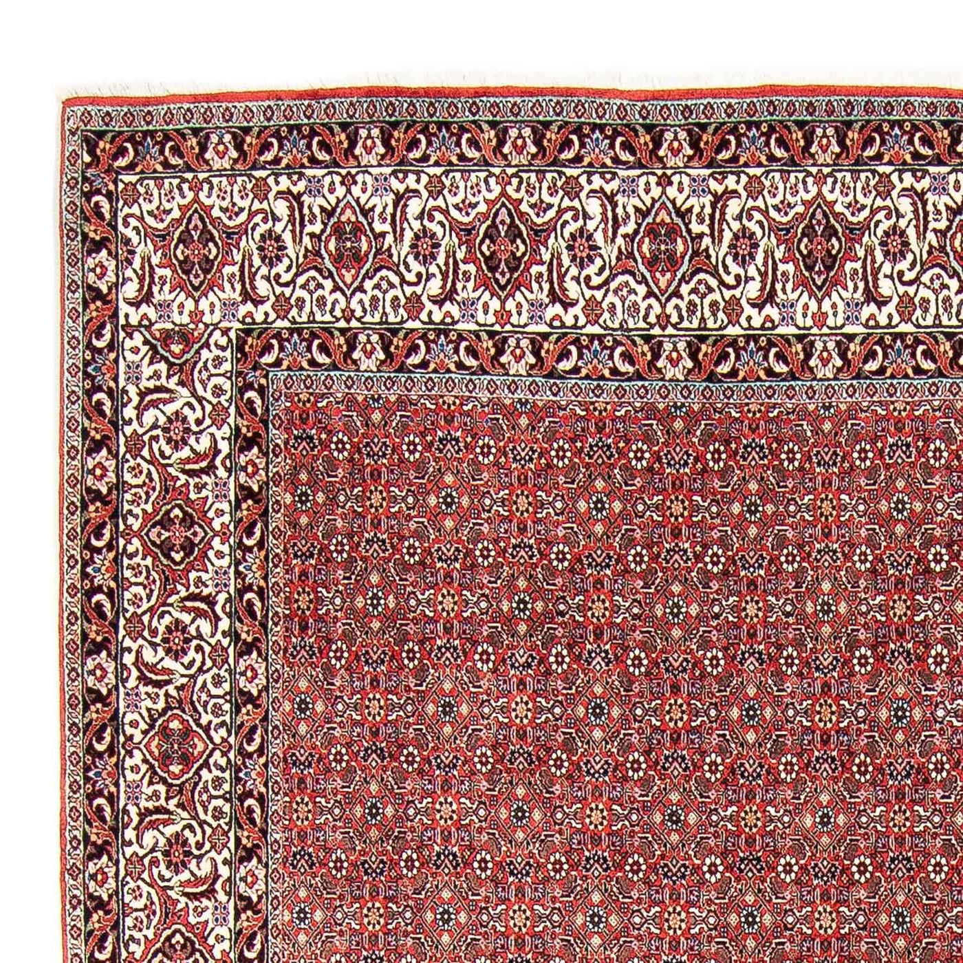 Bidjar Tapijt 297x249cm - Perzisch tapijt