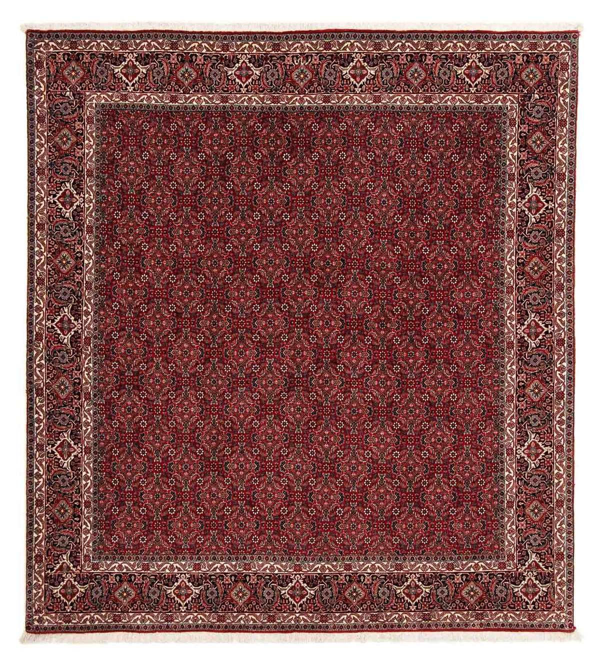 Perzisch tapijt - Bijar vierkant  - 212 x 206 cm - donkerrood