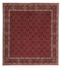 Bidjar Tapijt 212x206cm - Perzisch tapijt – product image
