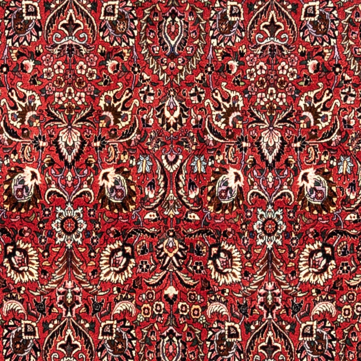 Perzisch tapijt - Bijar - Koninklijk - 349 x 252 cm - rood