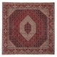 Bidjar Tapijt 250x250cm - Perzisch tapijt