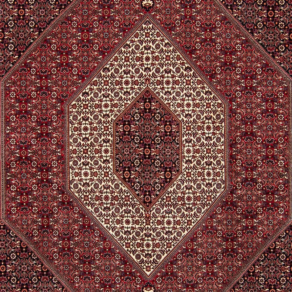 Perzisch tapijt - Bijar vierkant  - 250 x 250 cm - donkerrood