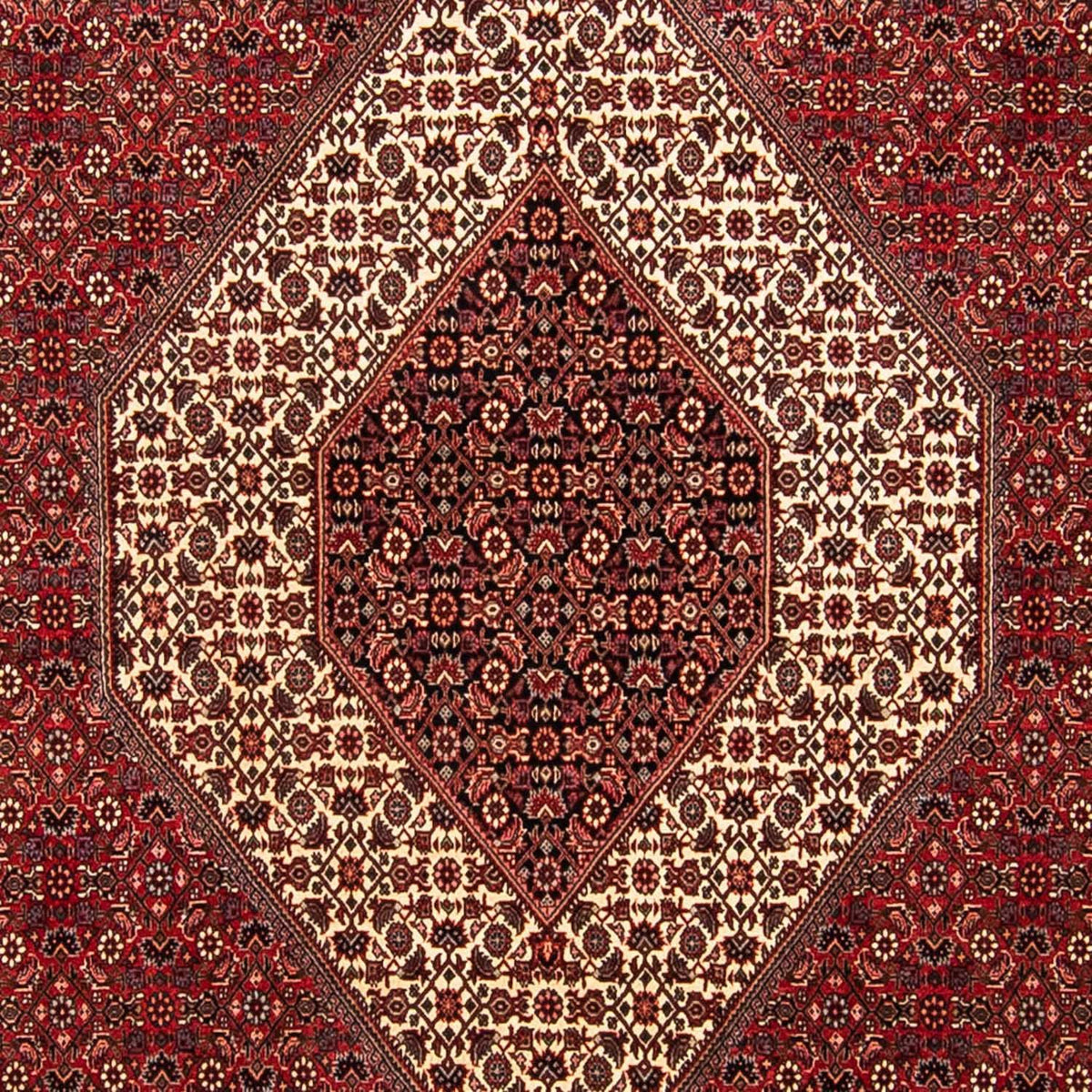 Perzisch tapijt - Bijar - 304 x 251 cm - donkerrood