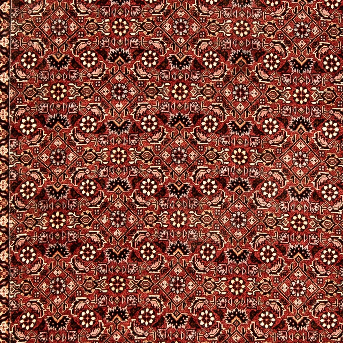 Loper Perzisch tapijt - Bijar - 298 x 82 cm - veelkleurig