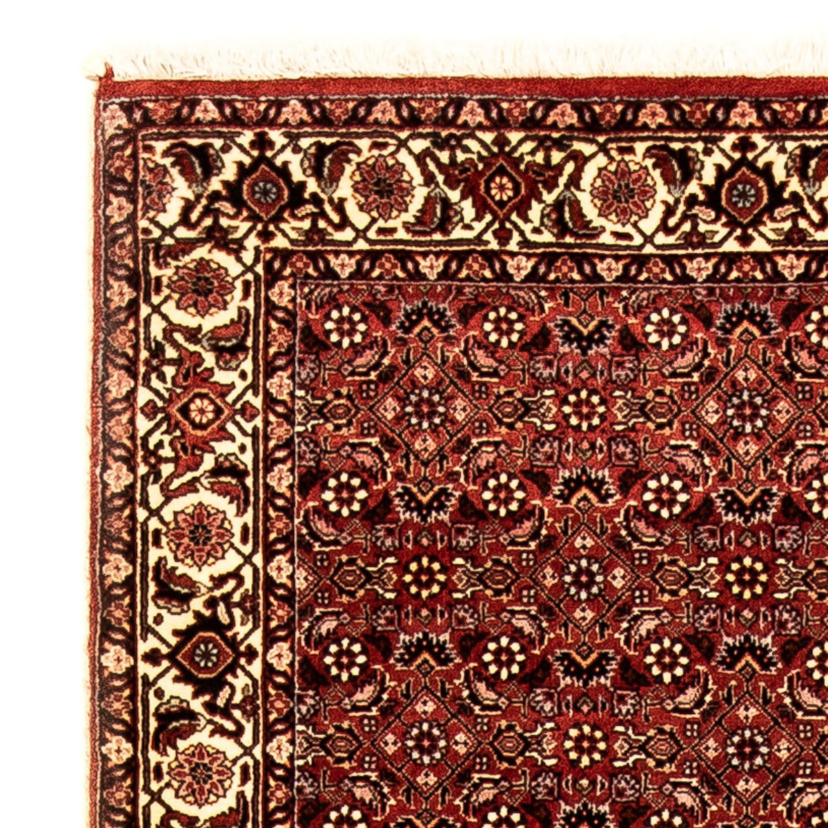 Loper Perzisch tapijt - Bijar - 298 x 82 cm - veelkleurig