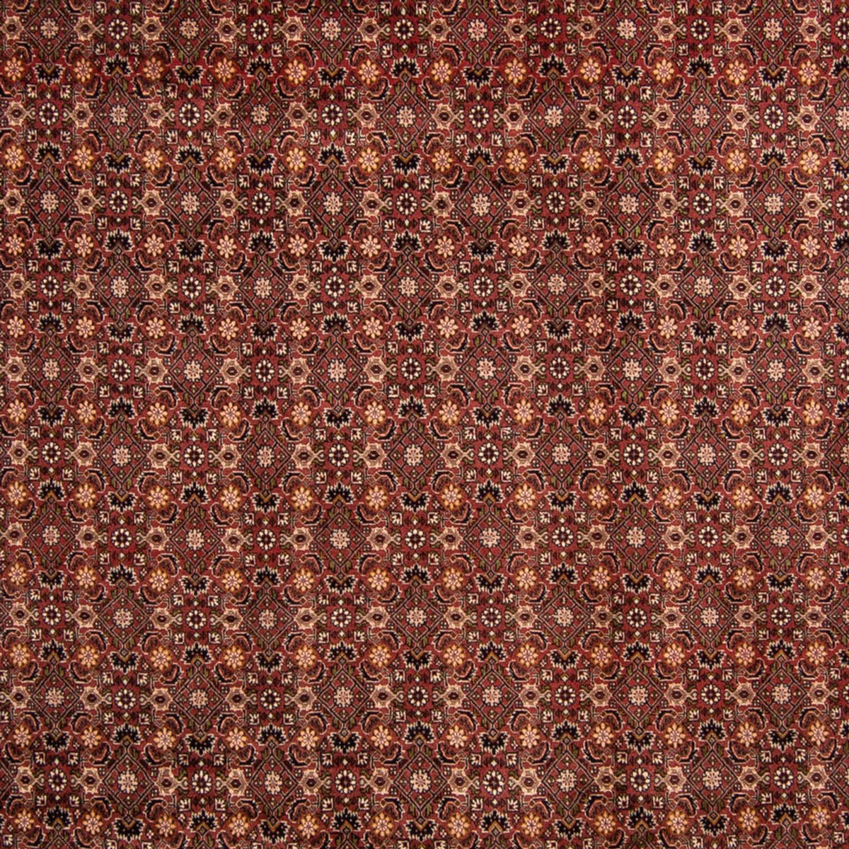 Perzisch tapijt - Bijar - 352 x 252 cm - bruin