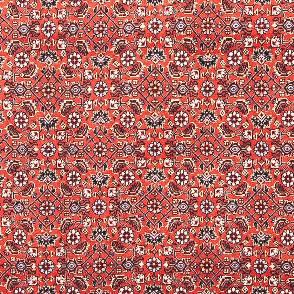 Perzisch tapijt - Bijar vierkant  - 97 x 95 cm - rood