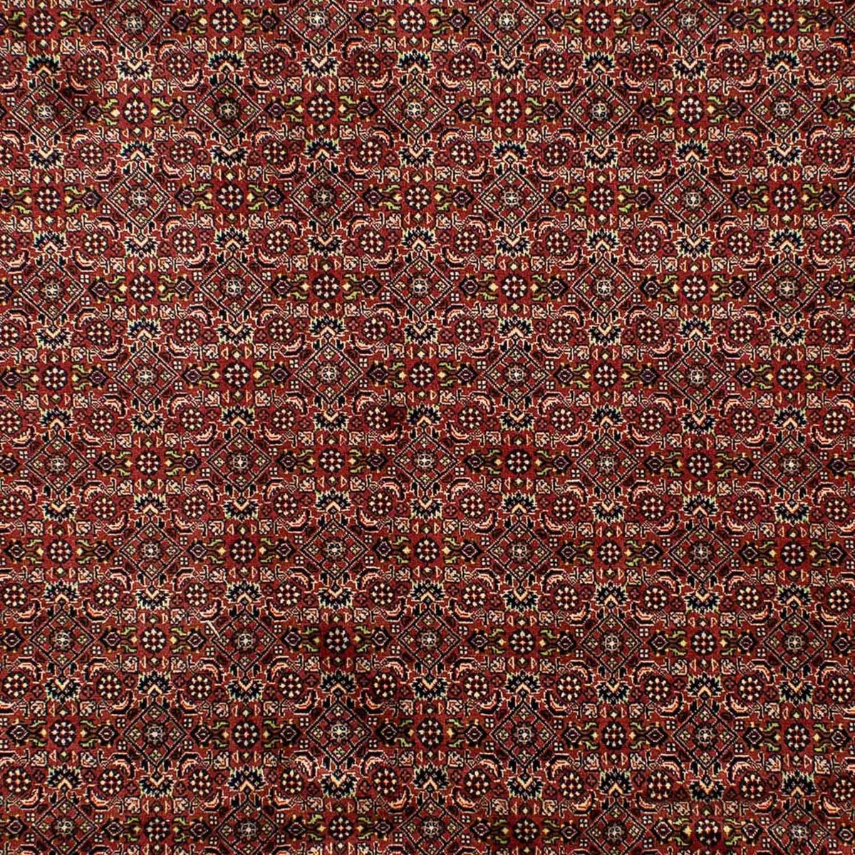 Perzisch tapijt - Bijar - 298 x 202 cm - bruin