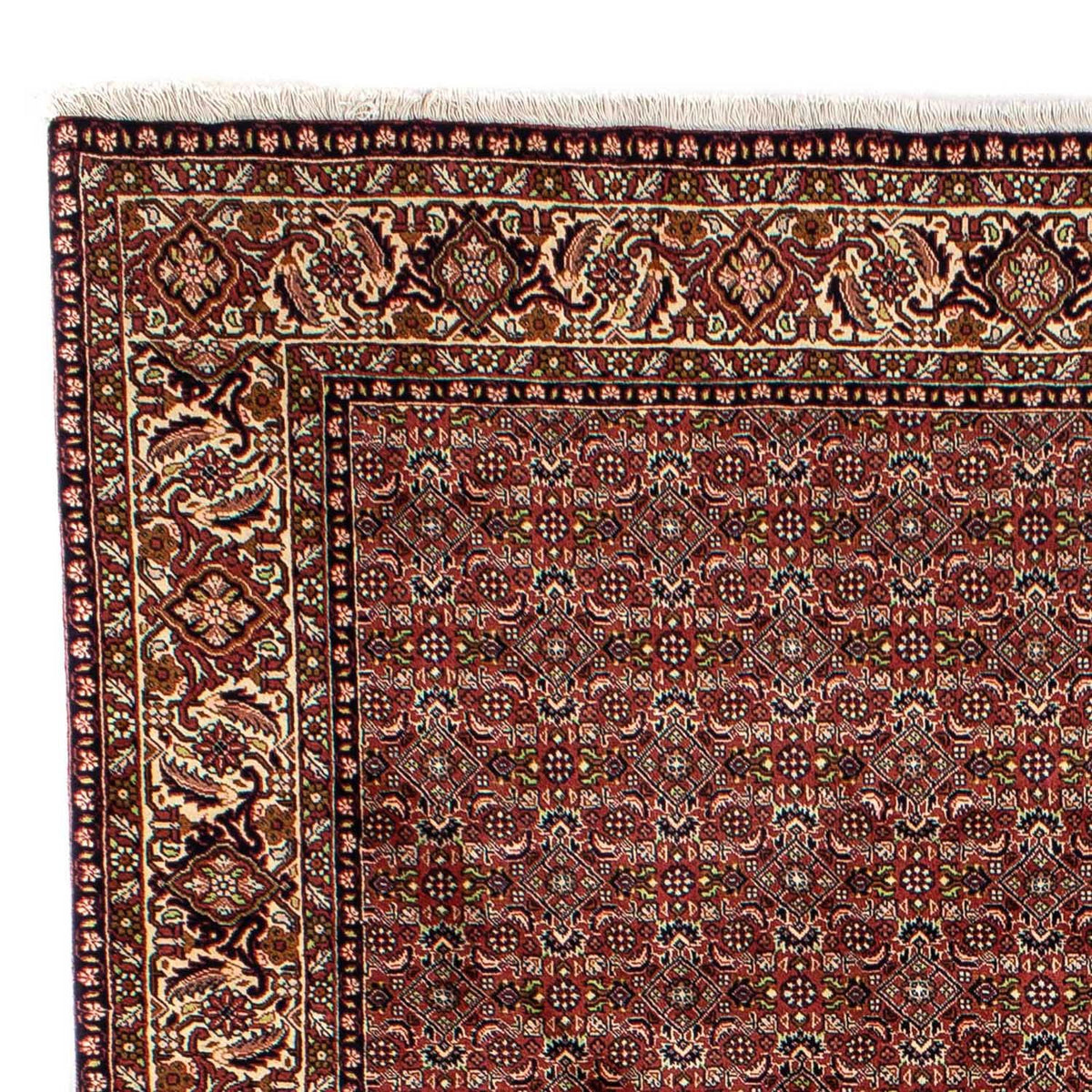 Bidjar Tapijt 202x298cm - Perzisch tapijt